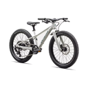 Bicicleta Niños SPZ RipRock 20